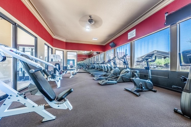 gym with ceiling fan, carpet floors, a wealth of natural light, and ornamental molding