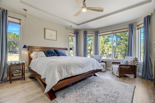 bedroom with a tray ceiling, multiple windows, and light wood-style flooring