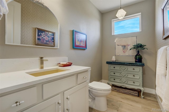 bathroom featuring vanity, toilet, and wood finished floors