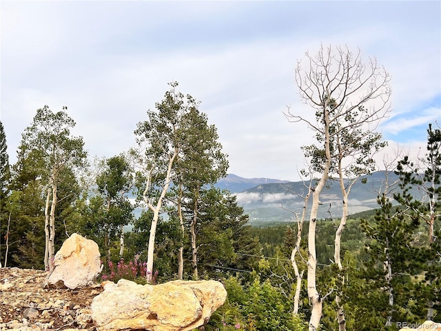 620 Rangeview Dr, Black Hawk, CO 80422