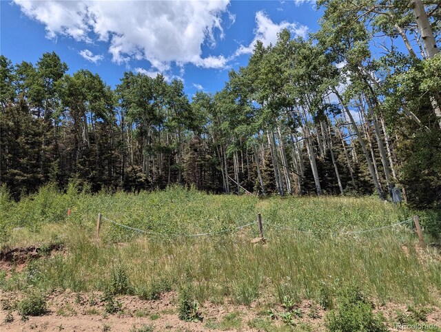3070 Henderson Dr, Fort Garland, CO 81133