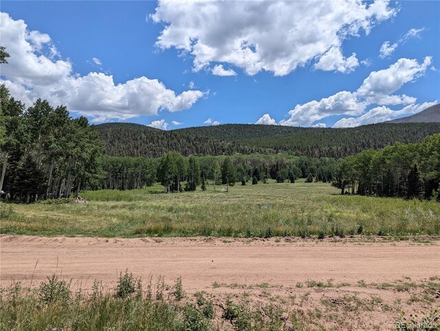 3070 Henderson Dr, Fort Garland, CO 81133