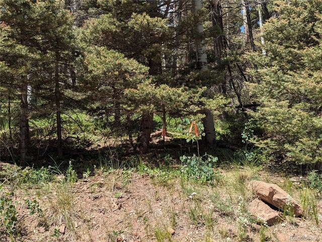 3070 Henderson Dr, Fort Garland, CO 81133