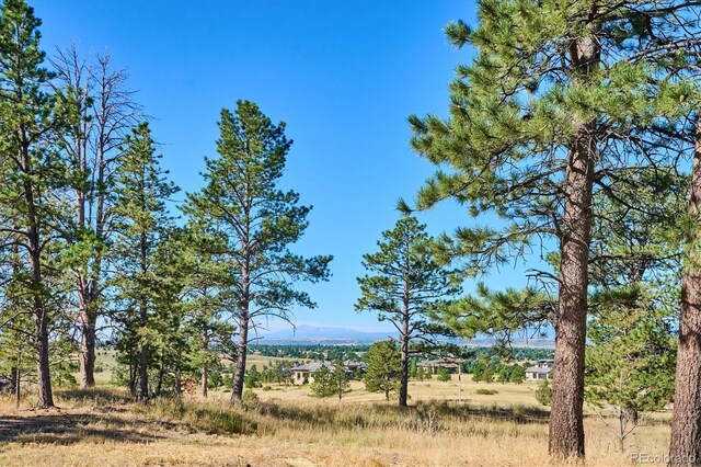 8830 Witez Ct, Parker, CO 80134 - photo 19