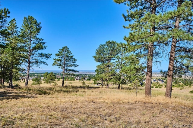 8830 Witez Ct, Parker, CO 80134 - photo 20