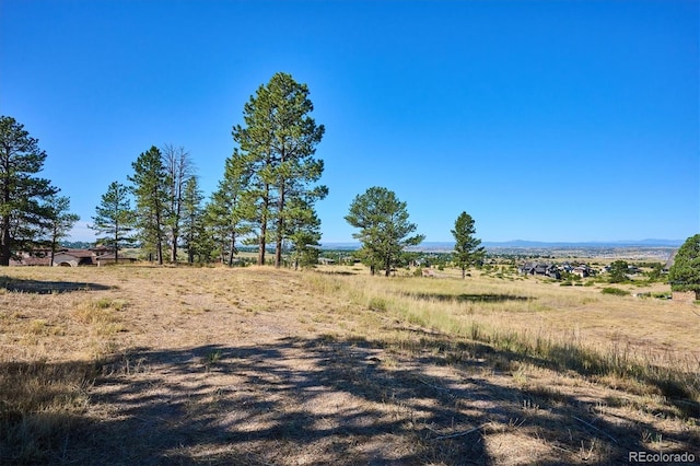 8830 Witez Ct, Parker, CO 80134 - photo 21