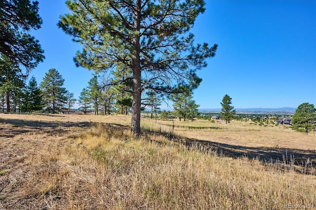 8830 Witez Ct, Parker, CO 80134 - photo 22