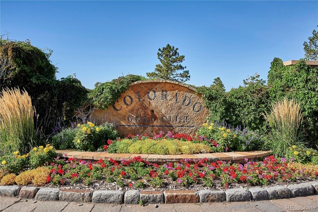 8830 Witez Ct, Parker, CO 80134 - photo 25