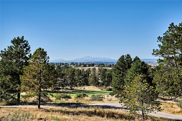 8830 Witez Ct, Parker, CO 80134 - photo 31