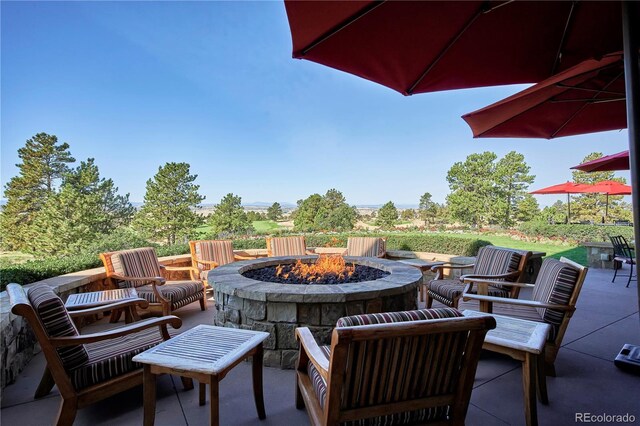 8830 Witez Ct, Parker, CO 80134 - photo 33