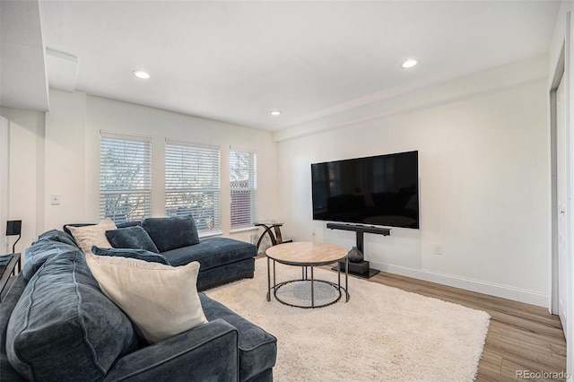 living room with light wood-type flooring