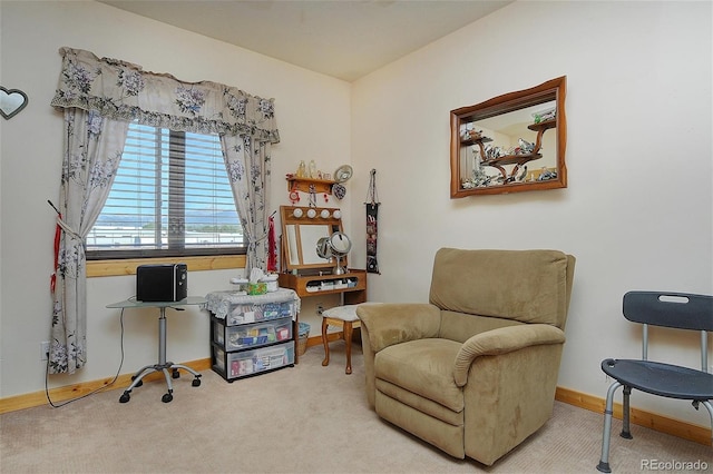 living area with light colored carpet