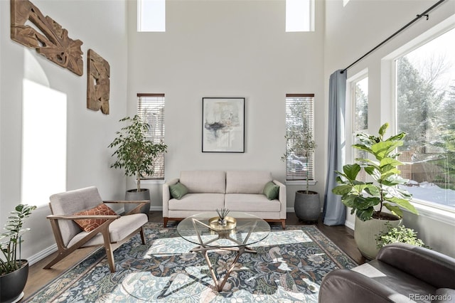 living room featuring a healthy amount of sunlight, baseboards, and wood finished floors