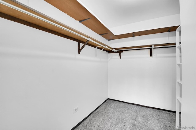 9655 E Center Ave Unit 9D, Denver, CO 80247 - spacious closet with carpet floors