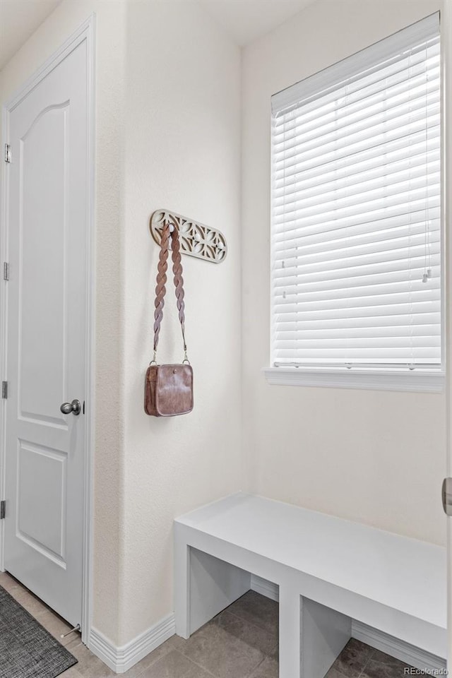 mudroom with baseboards and a wealth of natural light