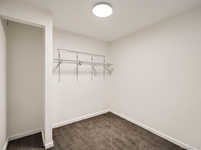 3310 N Gilpin St, Denver, CO 80205 - photo 5