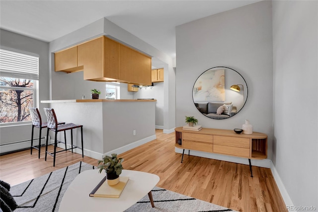 living room featuring a baseboard radiator and light hardwood / wood-style floors