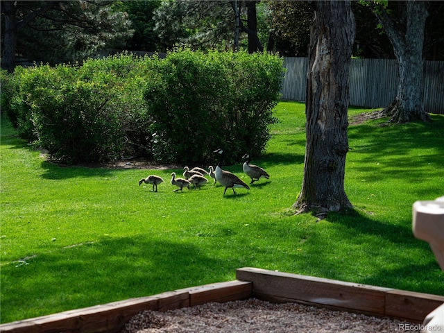 15395 E Penwood Pl, Aurora, CO 80015 - view of yard