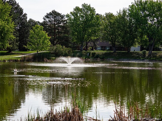 15395 E Penwood Pl, Aurora, CO 80015 - water view