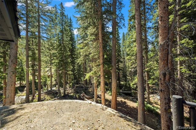46 Silver Creek Rd, Idaho Springs, CO 80452 - view of tree filled area