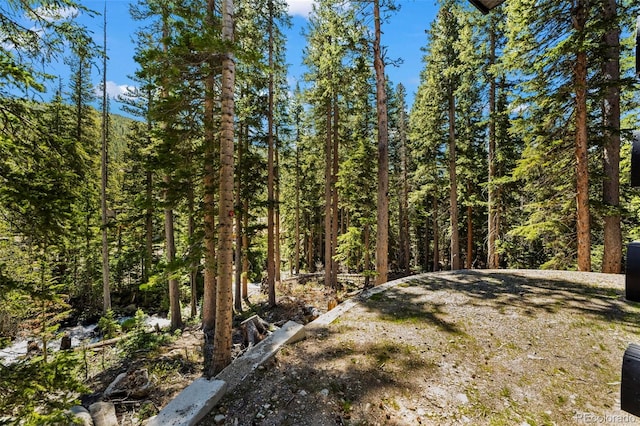 46 Silver Creek Rd, Idaho Springs, CO 80452 - view of yard with a wooded view
