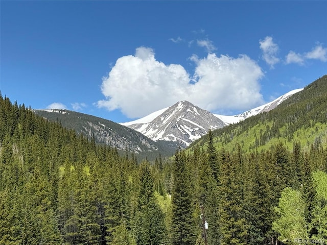 46 Silver Creek Rd, Idaho Springs, CO 80452 - view of mountain backdrop with a forest