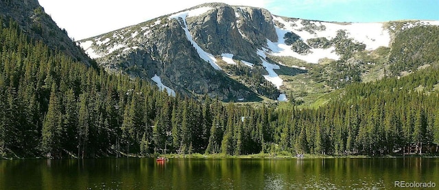46 Silver Creek Rd, Idaho Springs, CO 80452 - view of mountain background with a nearby body of water and a forest