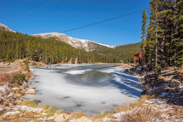 46 Silver Creek Rd, Idaho Springs, CO 80452 - view of mountain backdrop with a forest