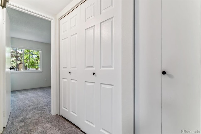 corridor featuring carpet floors