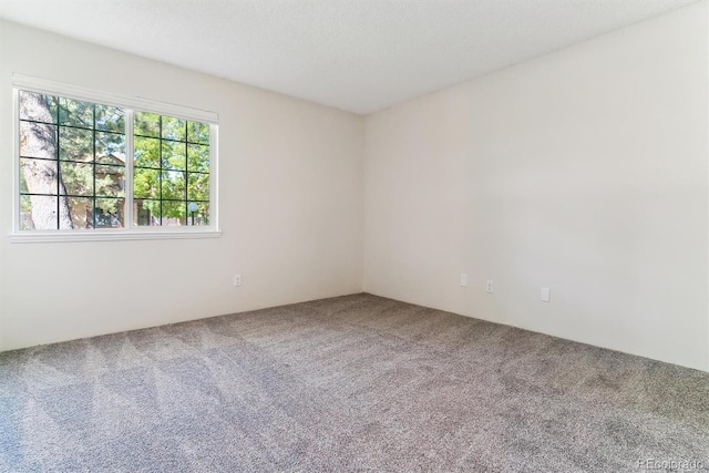 spare room featuring carpet flooring