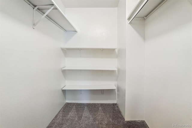 spacious closet with dark colored carpet