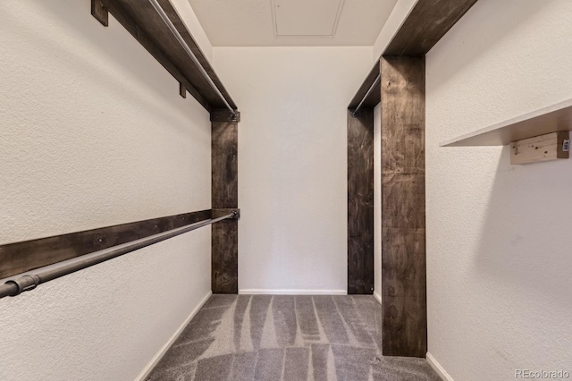 walk in closet featuring carpet floors