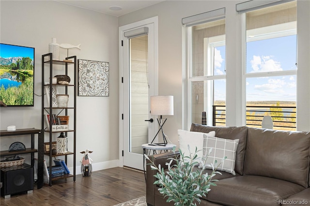 living room featuring dark hardwood / wood-style floors