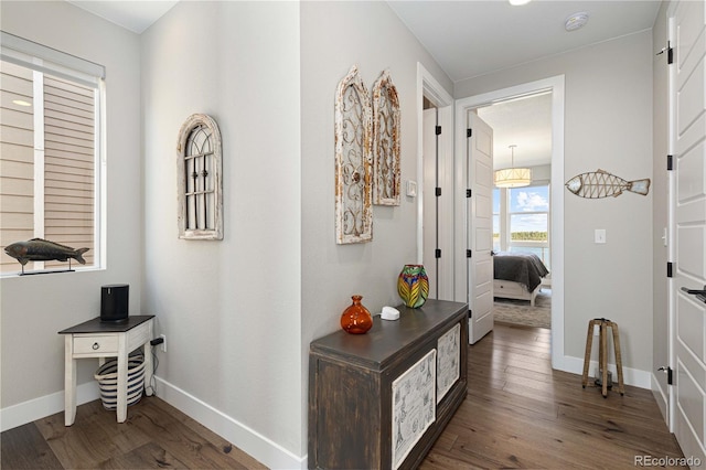 hall with dark hardwood / wood-style floors