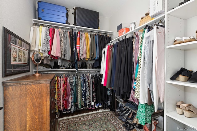 view of spacious closet