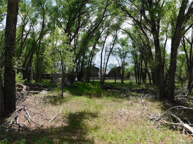 11003 US Highway 160, Del Norte, CO 81132 - view of yard