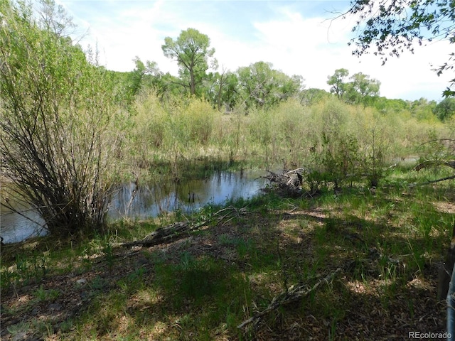 11003 US Highway 160, Del Norte, CO 81132 - water view featuring a forest