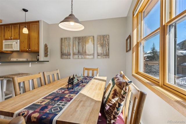 view of dining area