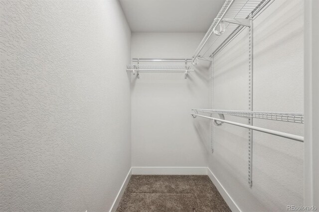 spacious closet with dark carpet