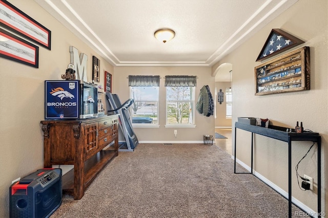 56330 E 37th Ct, Strasburg, CO 80136 - exercise area with baseboards, arched walkways, and carpet