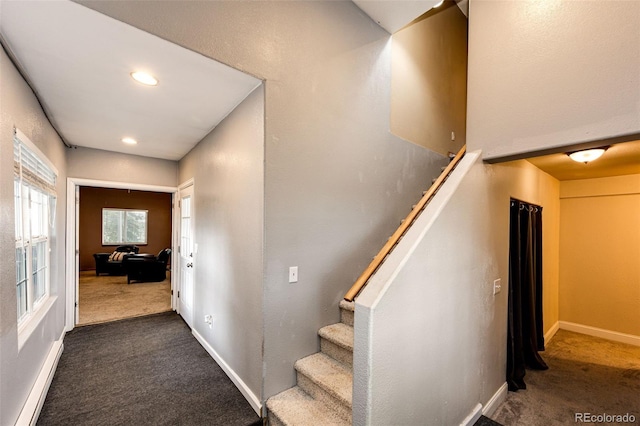43388 Somerset Ct, Elizabeth, CO 80107 - photo 18