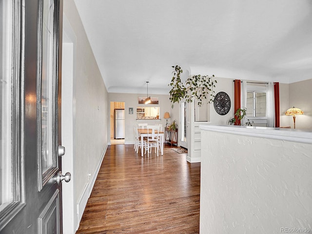 foyer entrance with dark hardwood / wood-style floors