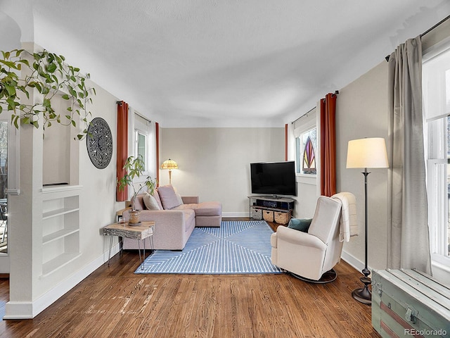 living room featuring wood-type flooring