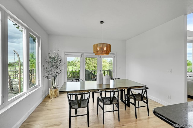 dining area featuring healthy amount of natural light, baseboards, and light wood-type flooring