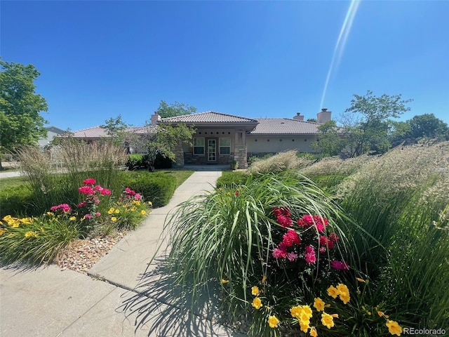 11832 Zenobia Loop, Westminster, CO 80031 - photo 34