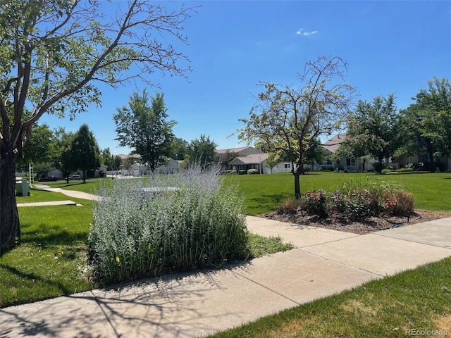 11832 Zenobia Loop, Westminster, CO 80031 - photo 36