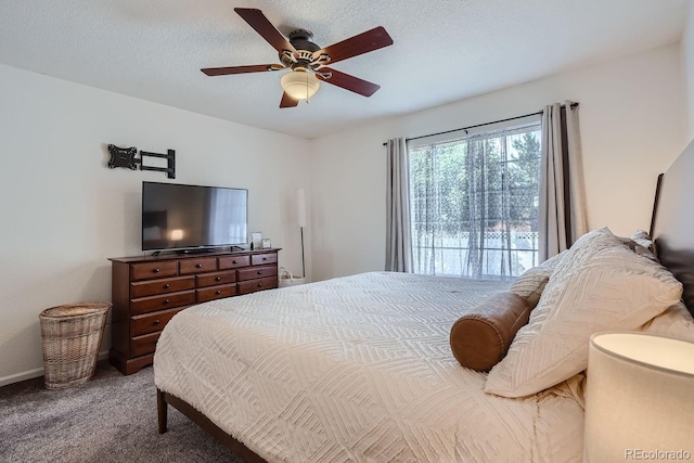 11832 Zenobia Loop, Westminster, CO 80031 - photo 17