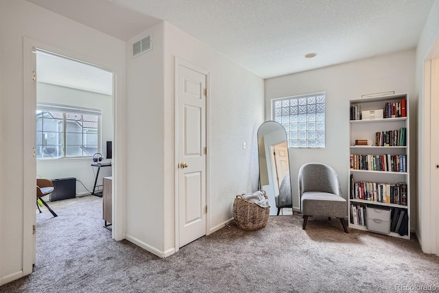 11832 Zenobia Loop, Westminster, CO 80031 - photo 23