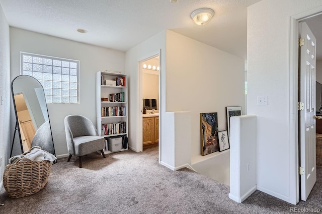 11832 Zenobia Loop, Westminster, CO 80031 - photo 24