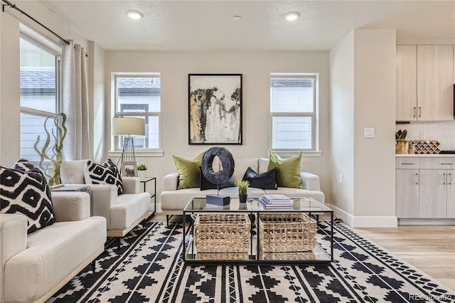 living room featuring a textured ceiling and hardwood / wood-style floors